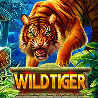 Wild Tiger